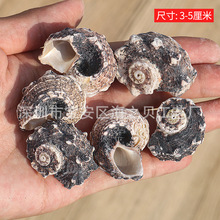 ��Ȼ����ؐ���ڿڈA�����~���쾰�b�Ʒ�ľ�з��Q���˱�1�����l