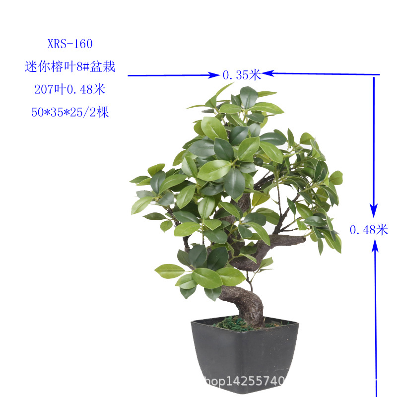 XRS-160 迷你榕叶8号盆栽207叶3.jpg