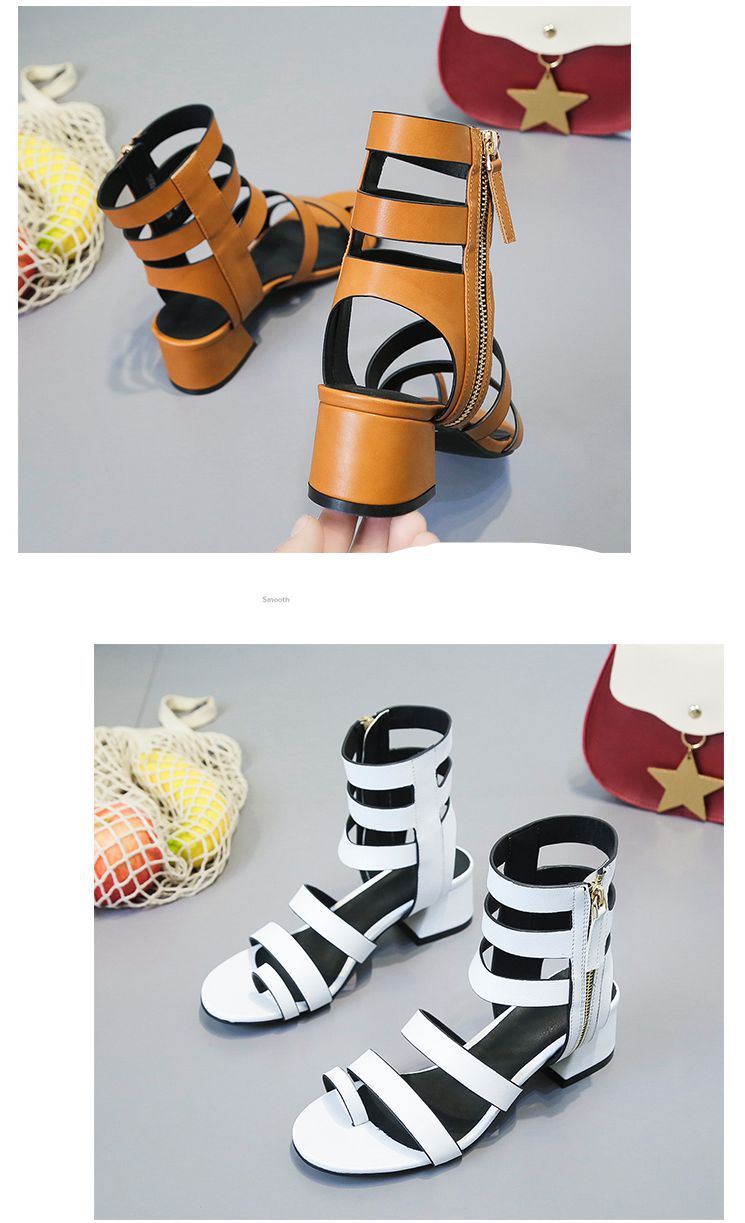 2019031919545721944493_副本