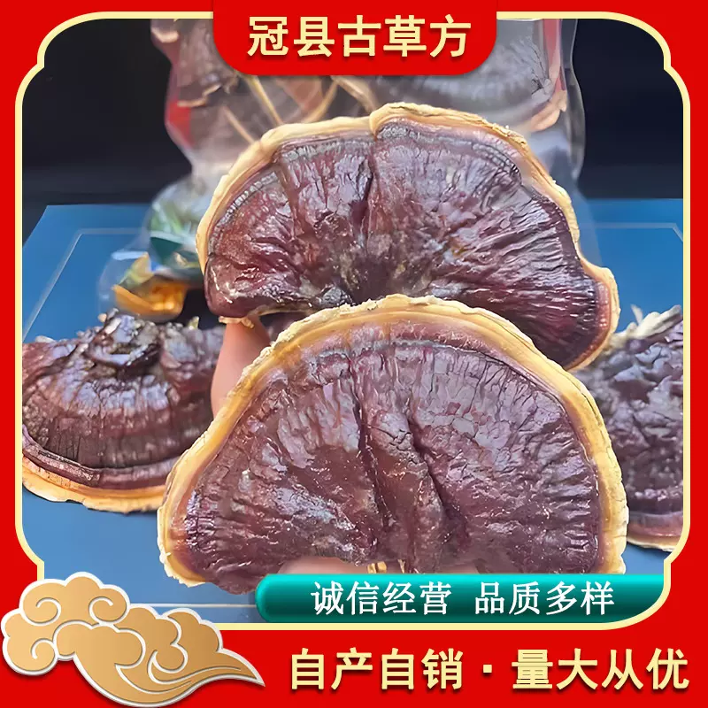 正宗金边灵芝产地直发菌香浓郁诚招代理不苦