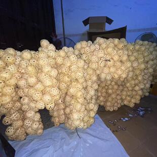 ?������������񾎟��\DIY���L����U�ؔ�ҹ�аl��С����