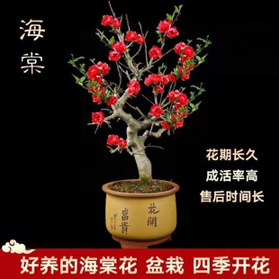 �����_��50�䡿�����ͺ����z���Ļ�ͥԺ�Ϙ��ļ����Ŀ͏d�҃ȶ���