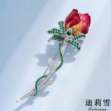 ����ѩ ����r�b�ܴ����OӋõ�廨���Ů �߼�����������ع��ػ�