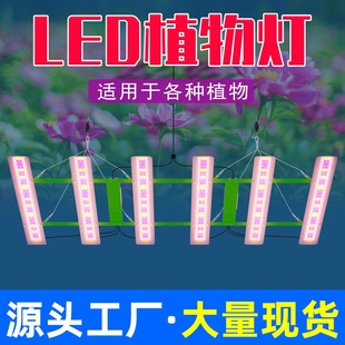 Qianrun Lighting LED Plant Growth Light High Power Seedling Plant Light Octopus Full Spectrum Light Greenhouse