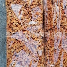 1ɢbƷSɫxӼxŲӼ݂ӸƷ؛