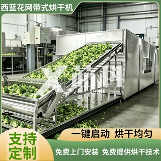 西兰花烘干机 全自动多层网带白花菜脱水干燥机 绿花椰菜烘干设备