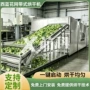 多层烘干脱水自动干燥机