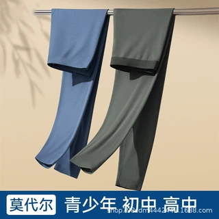 莫代尔秋裤男薄款秋冬紧身修身男士内穿线裤保暖裤打底裤2026新款