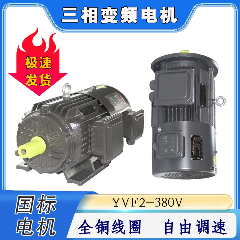 Variable Speed Motor Yvf2-2 Pole 3Kw-90Kw Variable Frequency Three-Phase Asynchronous Motor Speed Regulating Motor Fan Electric Motor