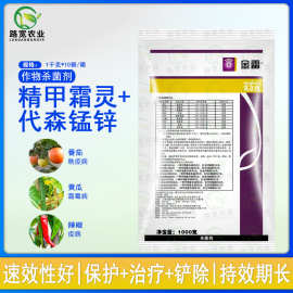 瑞士先正达 金雷 精甲霜灵代森锰锌霜霉病晚疫病农药杀菌剂 1千克