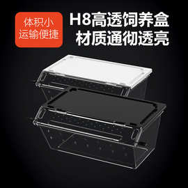 H8爬宠爬虫饲养盒饲养箱守宫盒蜘蛛角蛙蝎子昆虫龟蛇防逃逸饲养盒