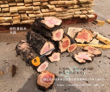 红心香柏木刺柏 龙柏圆柏 柏木桧木原木料 原木欣赏摆件文玩木料