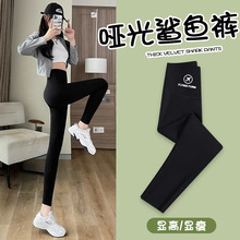 飞机标鲨鱼裤外穿打底裤女高腰收腹提臀紧身瘦腿春秋款瑜伽塑形裤