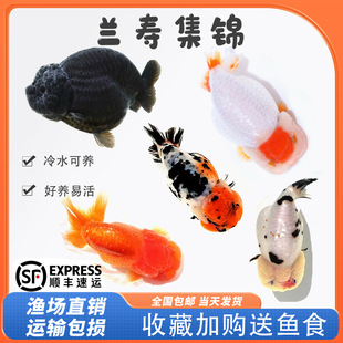 �m�۽��~������ţ������~�^�p�~������B�m�ۻ��~��ˮī����