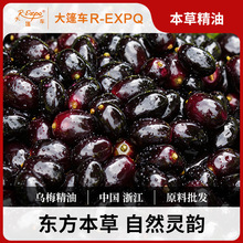 乌梅精油单方精油原料批发芳疗护理调香香薰植物萃取大篷车精油