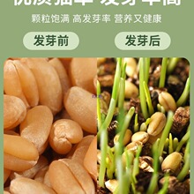 è��������ֲС�������������������è������è�仯ë����ʳ��Ʒ