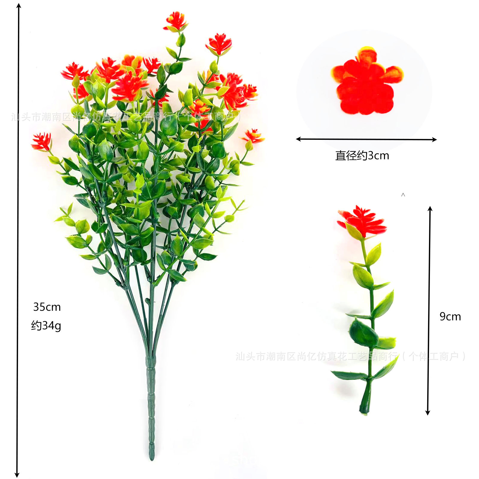 Camellia de Yugaly - naranja