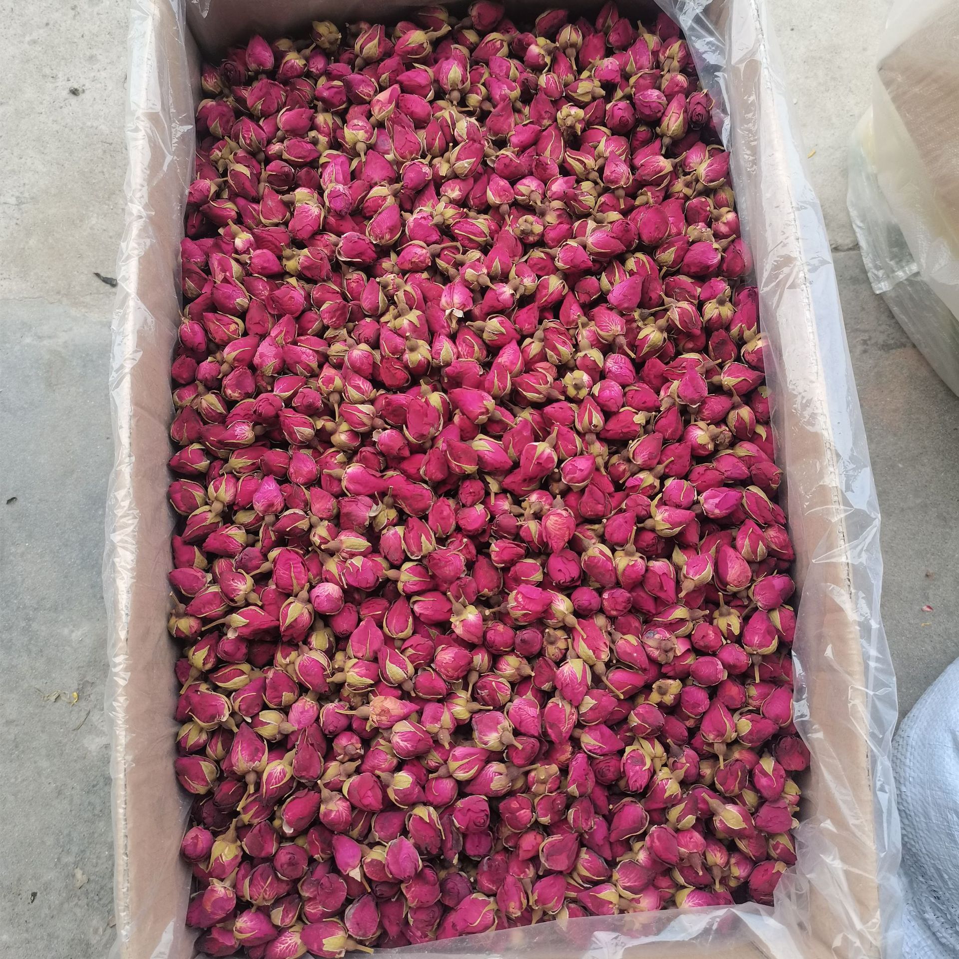 批發供應月季花乾花苞 山東大月季花蕾另有玫瑰花茶泡水茶中藥材