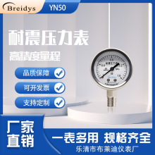 压力表YN50耐震压力表高精度液压水压气压真空表0-1.6/2.5/40mpa