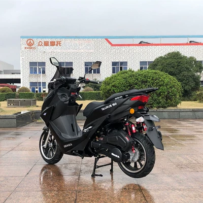 Motosikletlər Motorcycle Lion Roar 2024