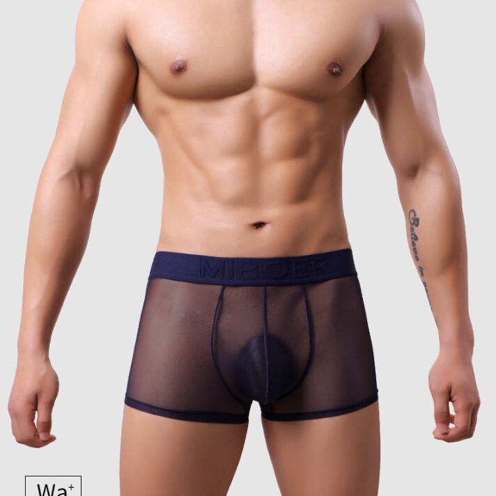 2025 new men's ice silk mesh underwear 20D ultra-thin fully transparent boxer invisible breathable plus size boxer shorts