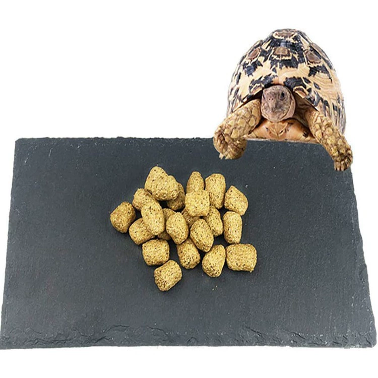 Рептилия Черепаха Сланцевый сланец рептилий отдых терраса аквариум декоративный рок-ландшафтный камень
