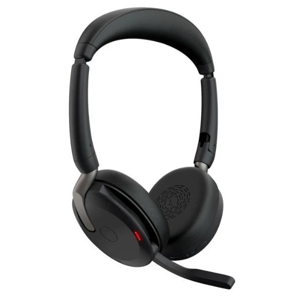 Evolve2 65Flex Link390a UC Stereo