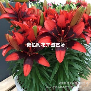 �M����ˮ�ٺϴ�N������������ͥԺ�̨�ļ��_���׻�ܾGֲ����