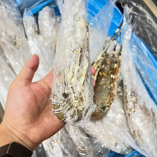 �羳��϶ࠖ���r�r������ش�����r������r���r�͏d�������l