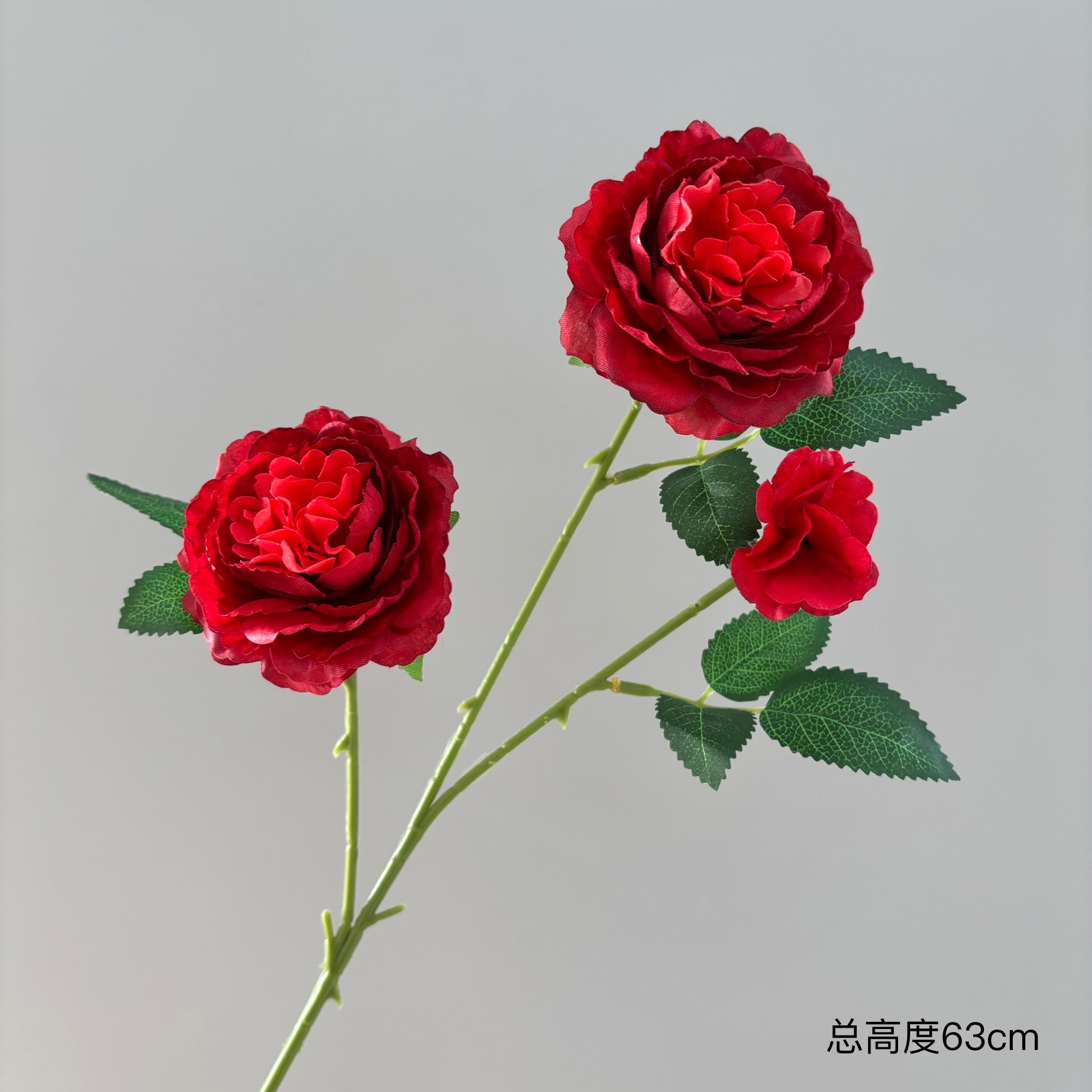 그라데이션 레드