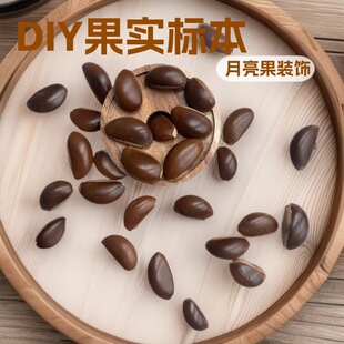 ���׶ǹ���DIY����ֲ��˱��׶ǹ�������DIY���˱����v����