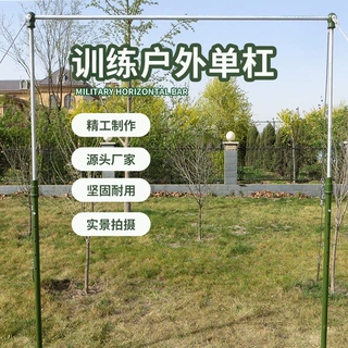 定制单杠室外比赛训练健身器材学校体能引体向上标准单双杠批发
