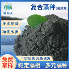 复合藻种水产有益小球藻绿藻硅藻种鱼虾蟹塘肥水培藻水产藻种批发