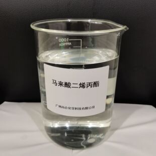 �߼��� �R�����ϩ���� 999-21-3