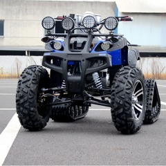 大きい雄牛のスノーモービルの大きい排気量のスノードリフトのオートバイのキャタピラーのビーチカーの燃料の成人の四輪のオフロード車