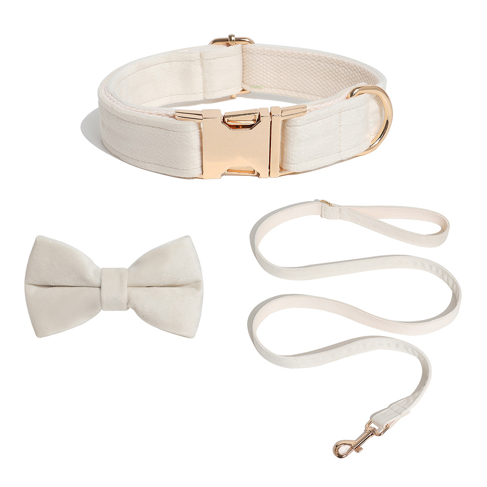 개 반지 + 개 목걸이 + 나비 넥타이