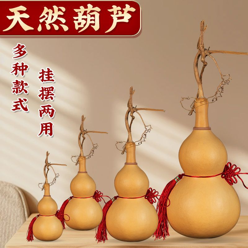 天然葫芦摆件纯天然大号野葫芦客厅招财家居风水葫芦挂件龙头葫芦