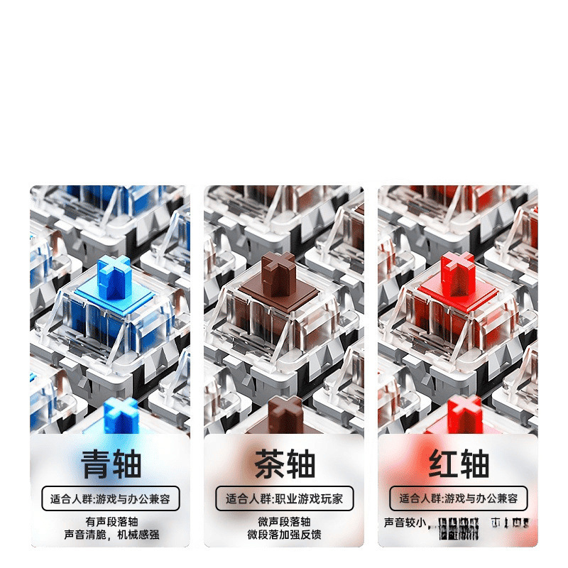 タランチュラの機械のキーボードの側はグラデーションのボタンを刻んでゲームの事務のデスクトップのノートの卸売りを競争します。|undefined