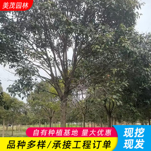 ���~Ůؑ��F�ڬF�u ͥԺ���^���͘��L���䳣�G��ľ�ߗUŮؑ����