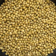 FƤʯƤ~Ƥʯ÷MڊWGʇaጷ8-9µ