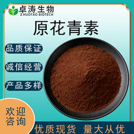 原花青素98%OPC葡萄籽提取物花生衣低聚原花青素花色素现货批发