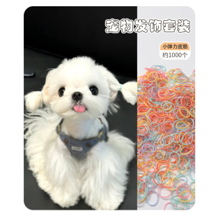 Pet Headwear for Bichon Frise, Teddy, and Small Dogs, High-Quality Elastic Bands for Yorkshire Terriers, Hair Ties for Pomeranians