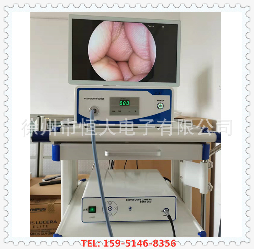 Medical endoscopic camera system for otolaryngology can freeze white…