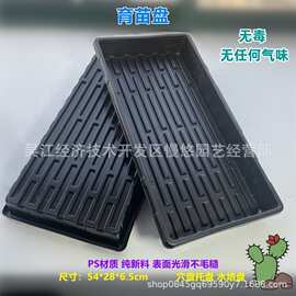 育苗盘穴盘托盘播种塑料黑色长方形透明盖育苗平盘穴盘托盘浸水盆
