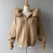2026�����紺�Bñᘿ������bŮ���e�L���ᘿ��_�� Դ�^���S ���l