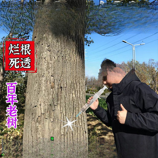 ��䠀��ș��������g����������ݹ�ľ���ӿݘ���ԣ�j��