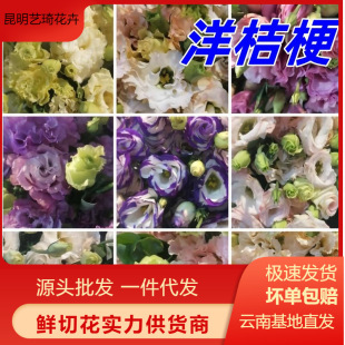 ��۹���đ�r�����ֱ�l����������˹�ĸ�H���������l��һ�����l