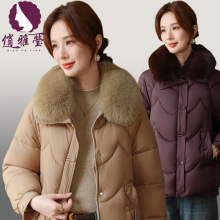 冬季2025新款中老年女装短款外套翻领毛领纯色宽松大码妈妈装棉衣