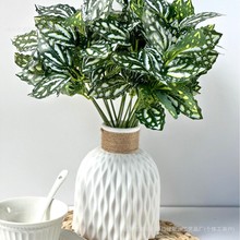 ����ֲ�� ����7�������ˮ�~ֲ��zƬ�~��֦�Gֲ�쾰ֲ������