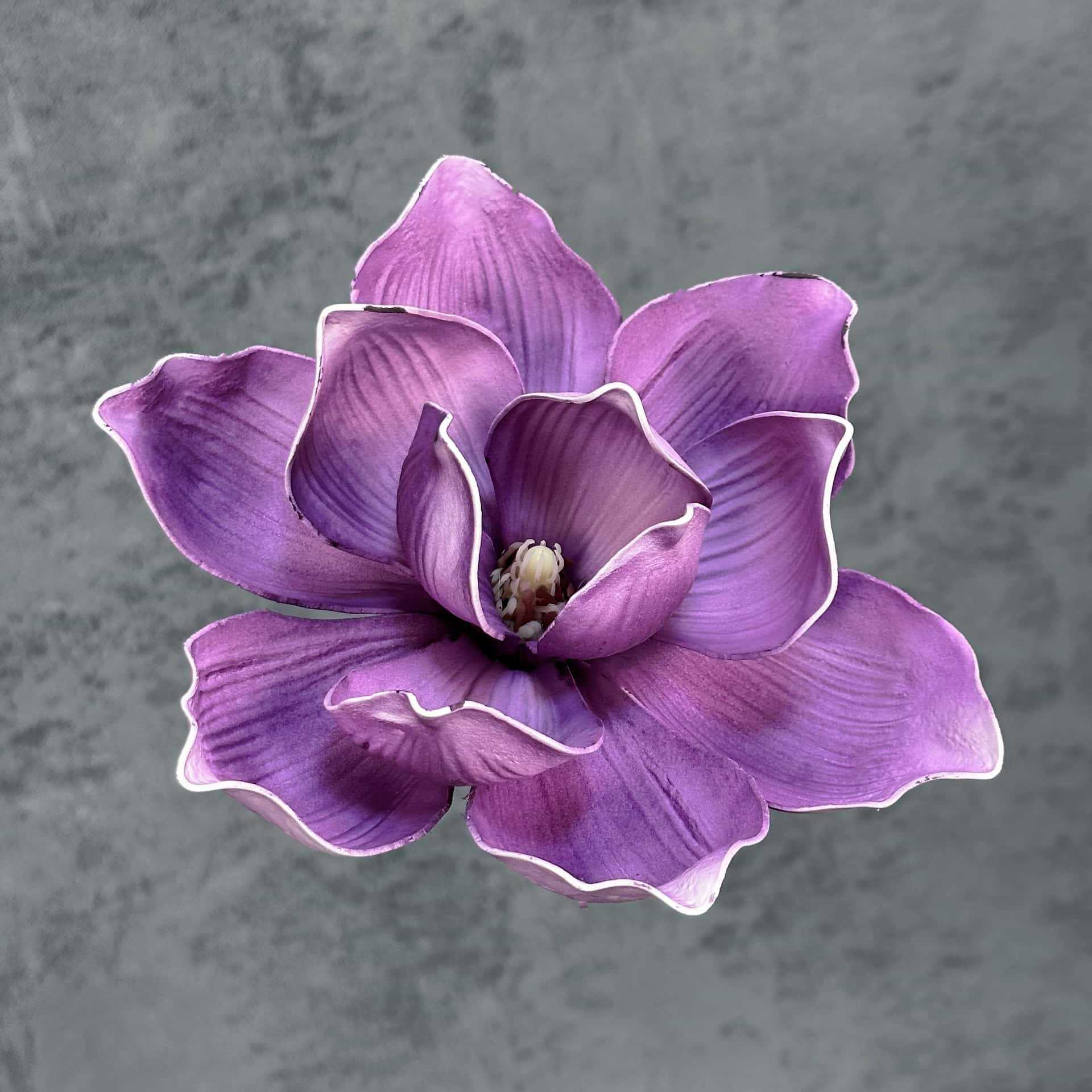 Flor de simulación transfronteriza EVA cabeza de magnolia 13cm tacto tocado kapok decoración decoración decoración flor falsa al por mayor